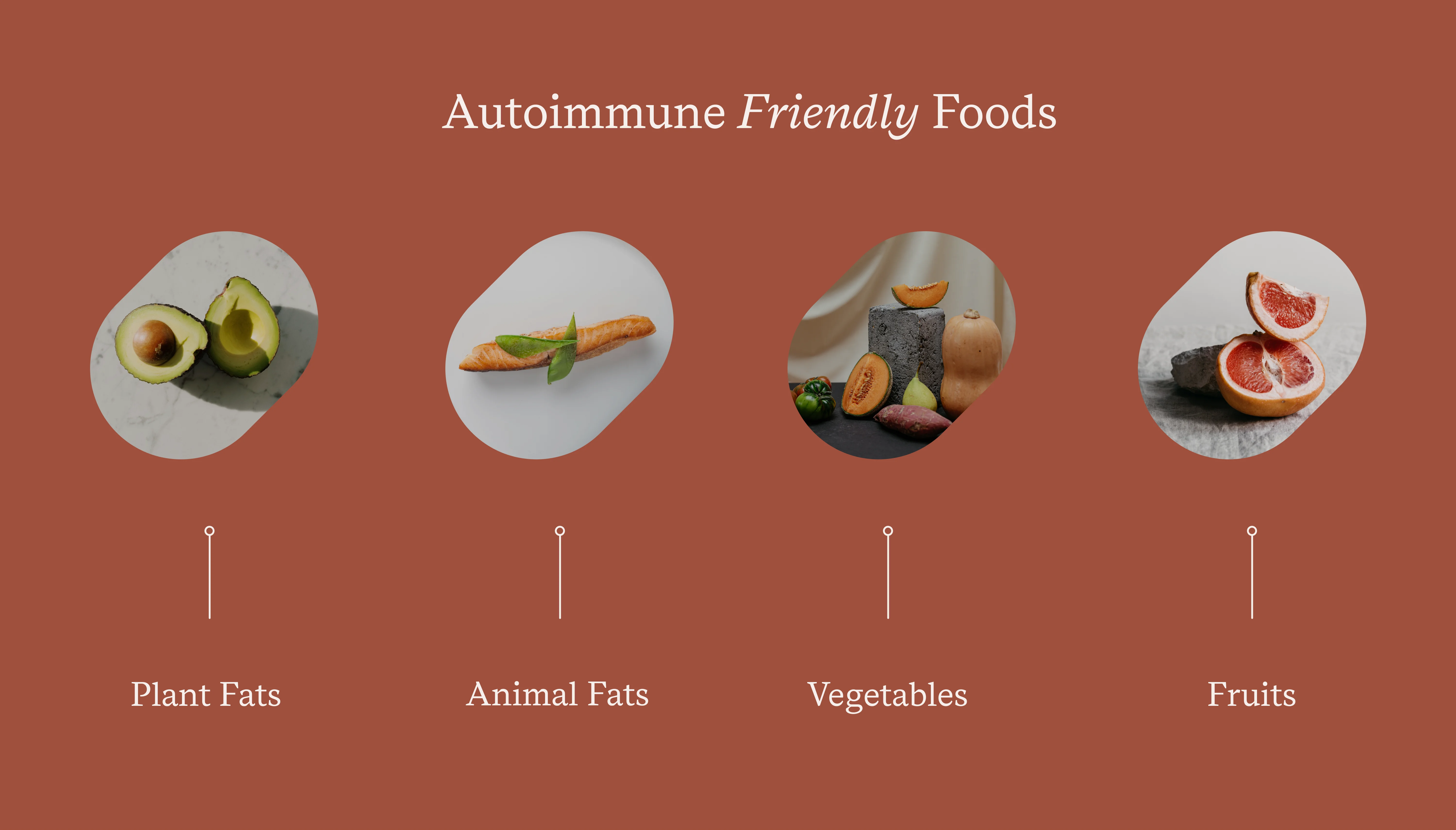 autoimmune friendly foods infographics